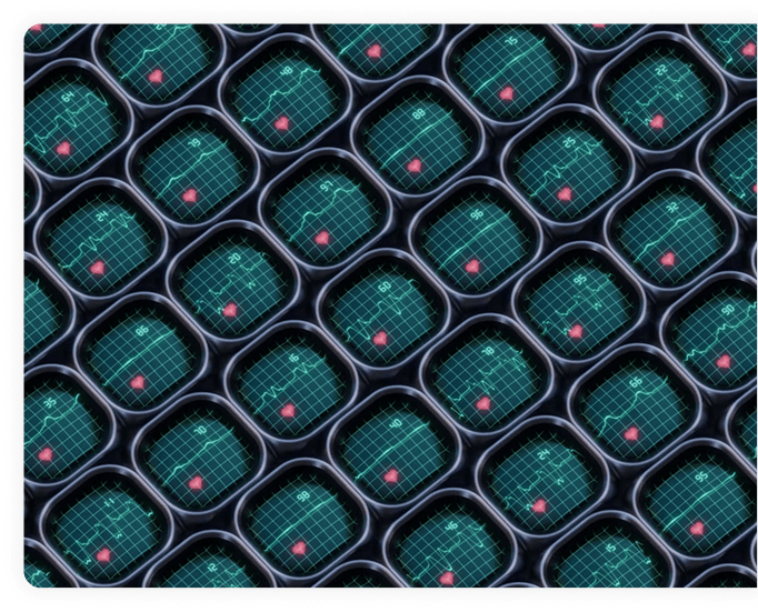 NeuroAge Neural Network Visualization