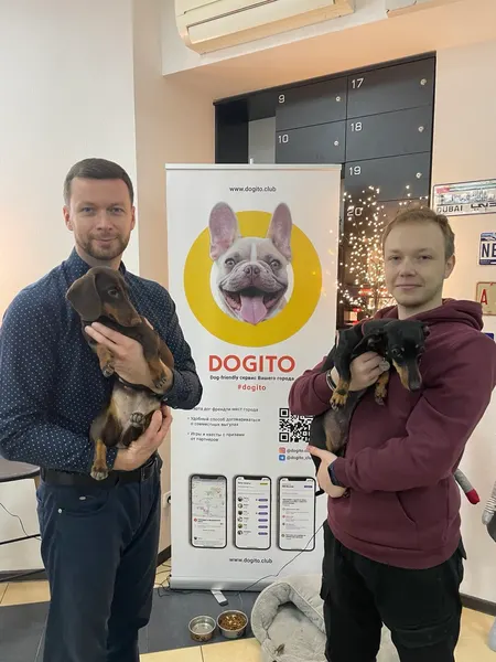 Dogito launch, teammates with their dogs